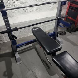 Dumb Bells and Bench