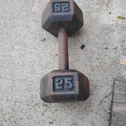 25 Lb. Weight
