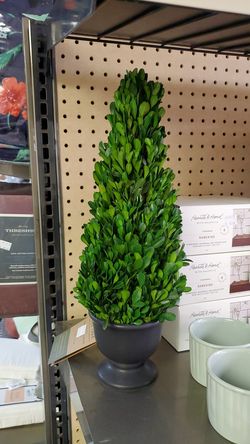 16in artificial Boxwood trees 15.00ea