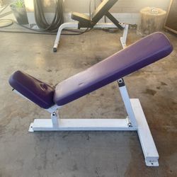 Incline.Bench Incline Only Precor ICARIAN
