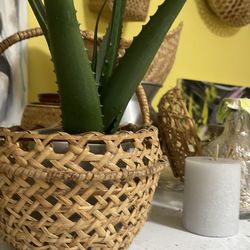 Estate sale everything must go this weekend