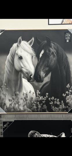 Horse Portrait