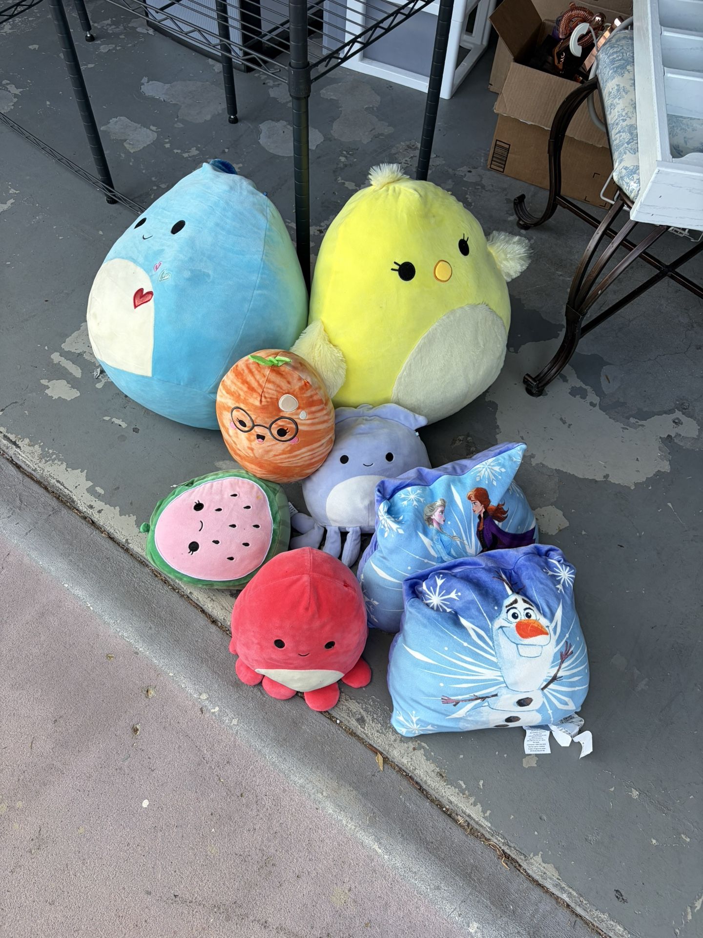Free- 6- Squishmallows Plush Character Pillows