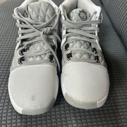 Lebron Witness VIII