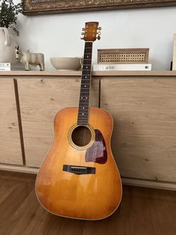 Ibanez Artwood Acoustic Guitar