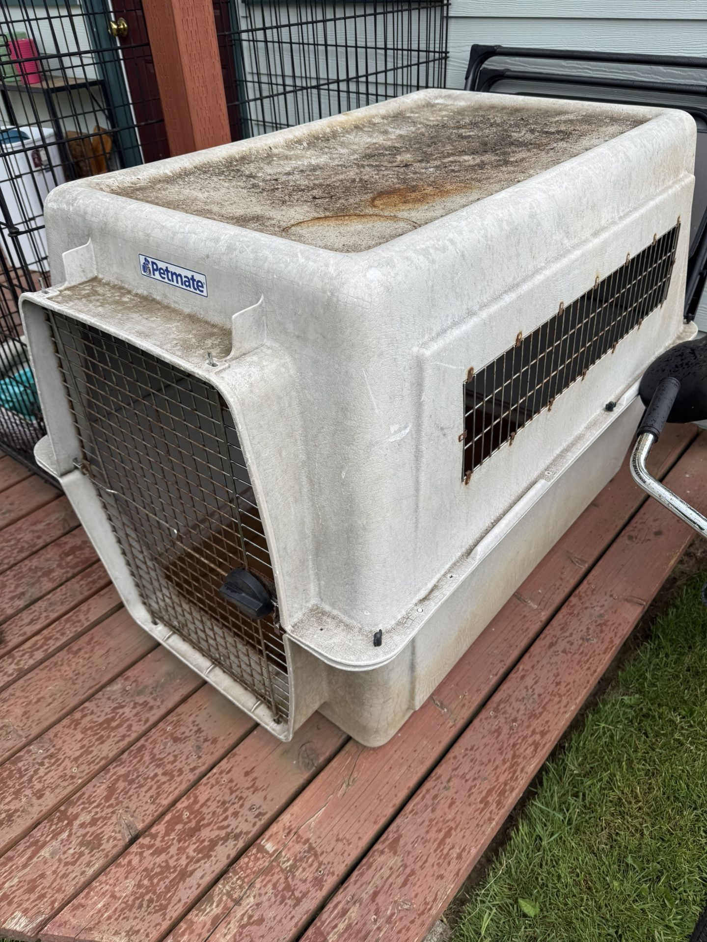 Large Dog Kennel
