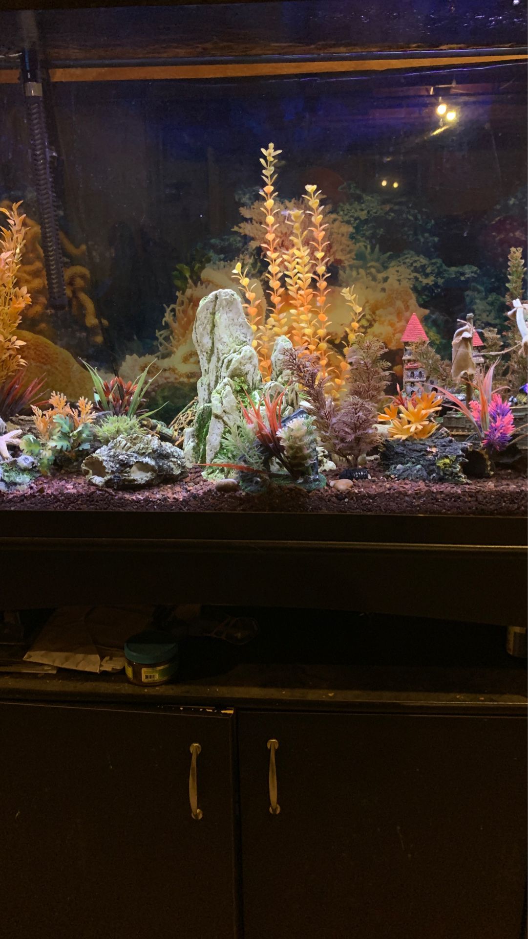 45 gal fish tank and cabinet