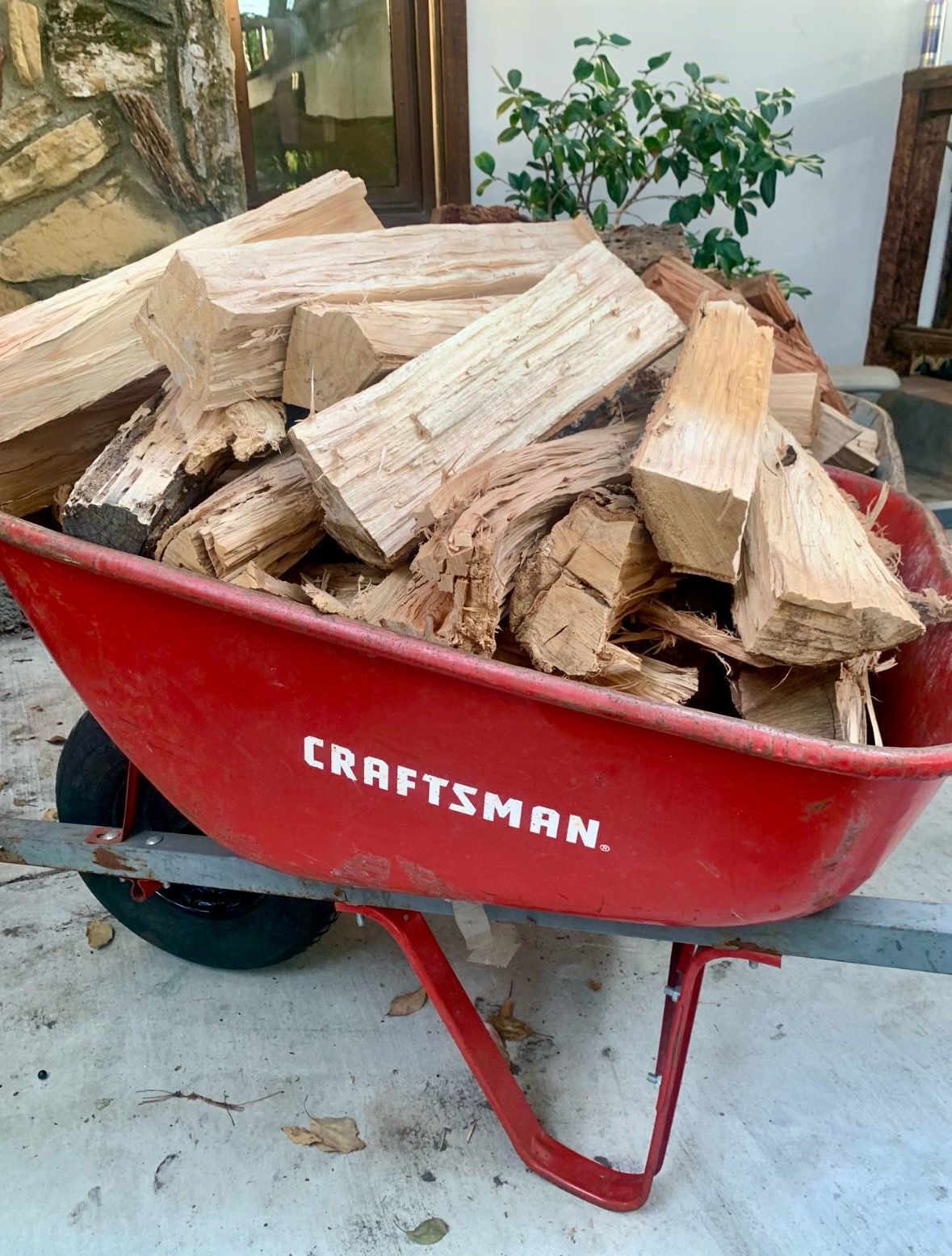 Seasoned fire wood dry firewood