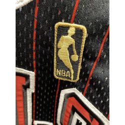 Michael Jordan Signed Bulls Pinstripe Champion Jersey 96-97