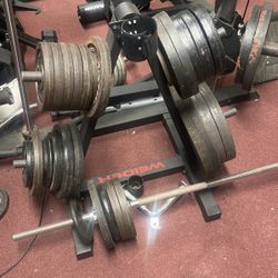 Gym Equipment 