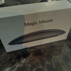 Apple Magic Mouse2