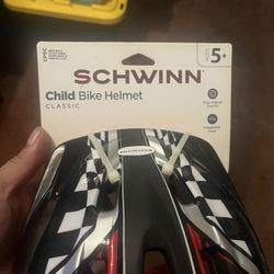 Schwinn helmet