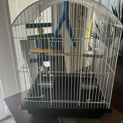 bird Cage 