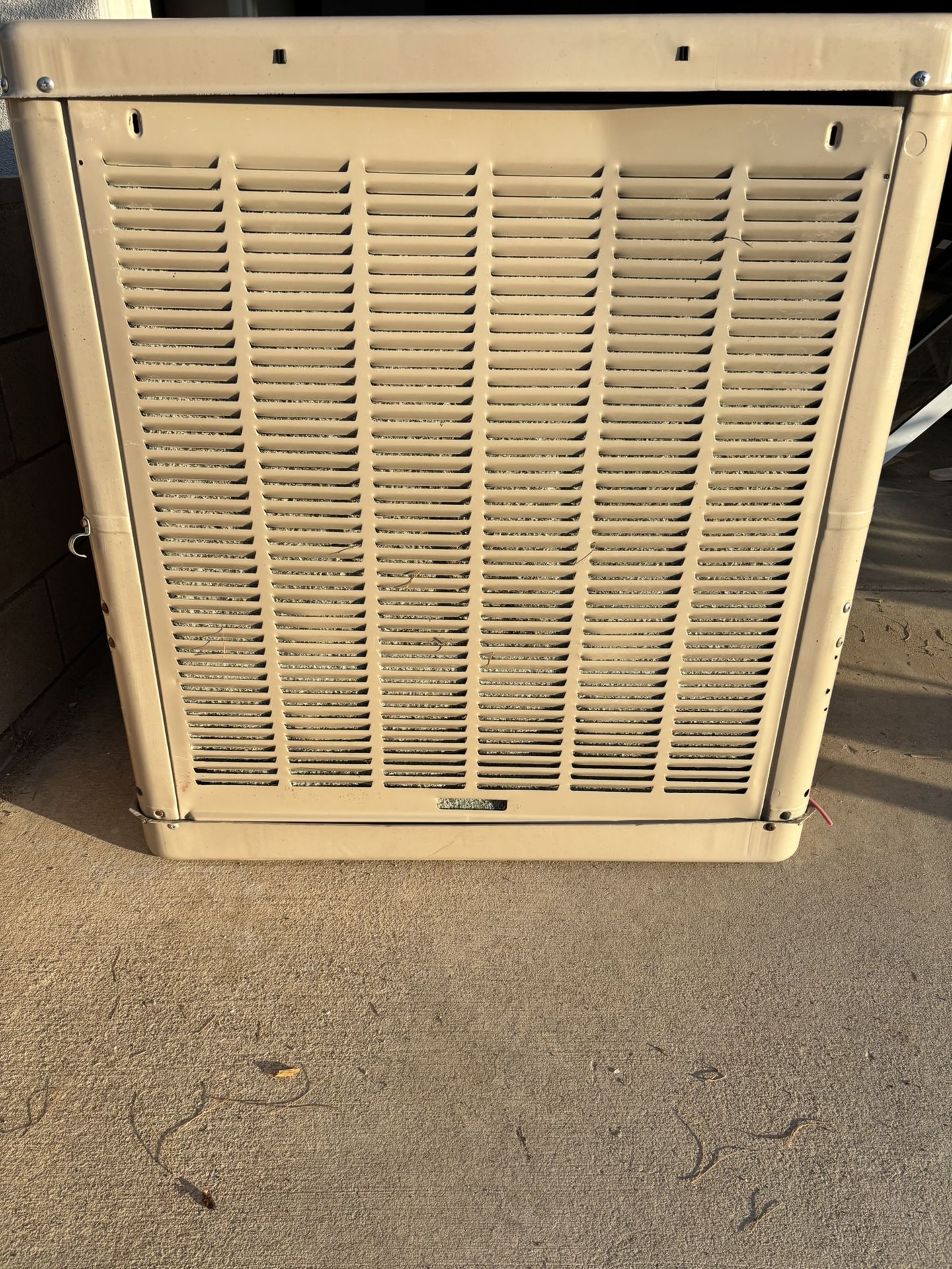 Champion Down Draft Swamp Cooler