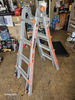 Little giant ladder