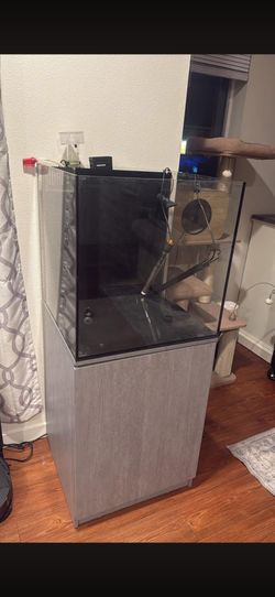 55 Gallon Fish Tank (Salt or Fresh Water)