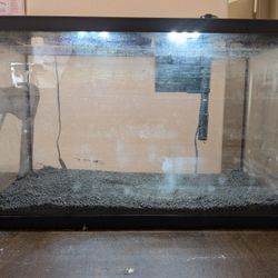 Ten Gallon Aquarium