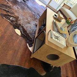 Coffee Table With Kitty Space