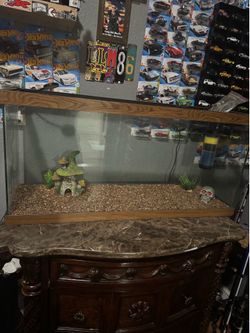 fishtank