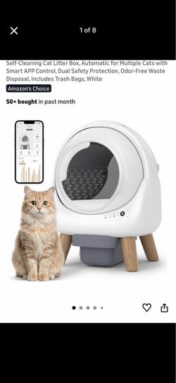Little Box // Arenero Gato