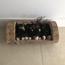 Eclectic Landscape