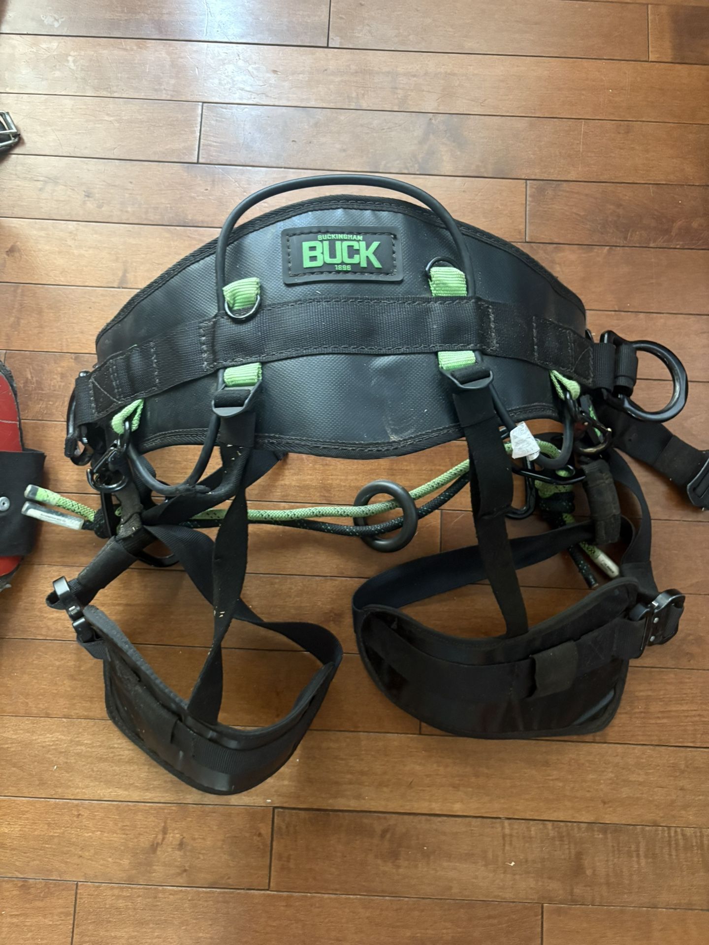 Tree Climbing Set Up DRT and SRT