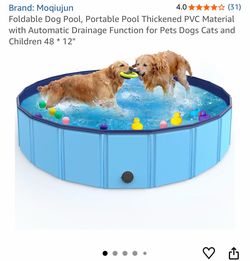 Kiddie/puppy pool