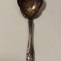 VINTAGE Grape Round Soup / Bouillon Spoons 1847 Rogers Bros Silver Plate