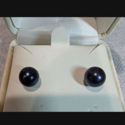 Black Cultured Pearl Push Back/Stud Earrings – 14K  White Gold Push Back Studs/Posts (585), High Luster, Very Round Pearls