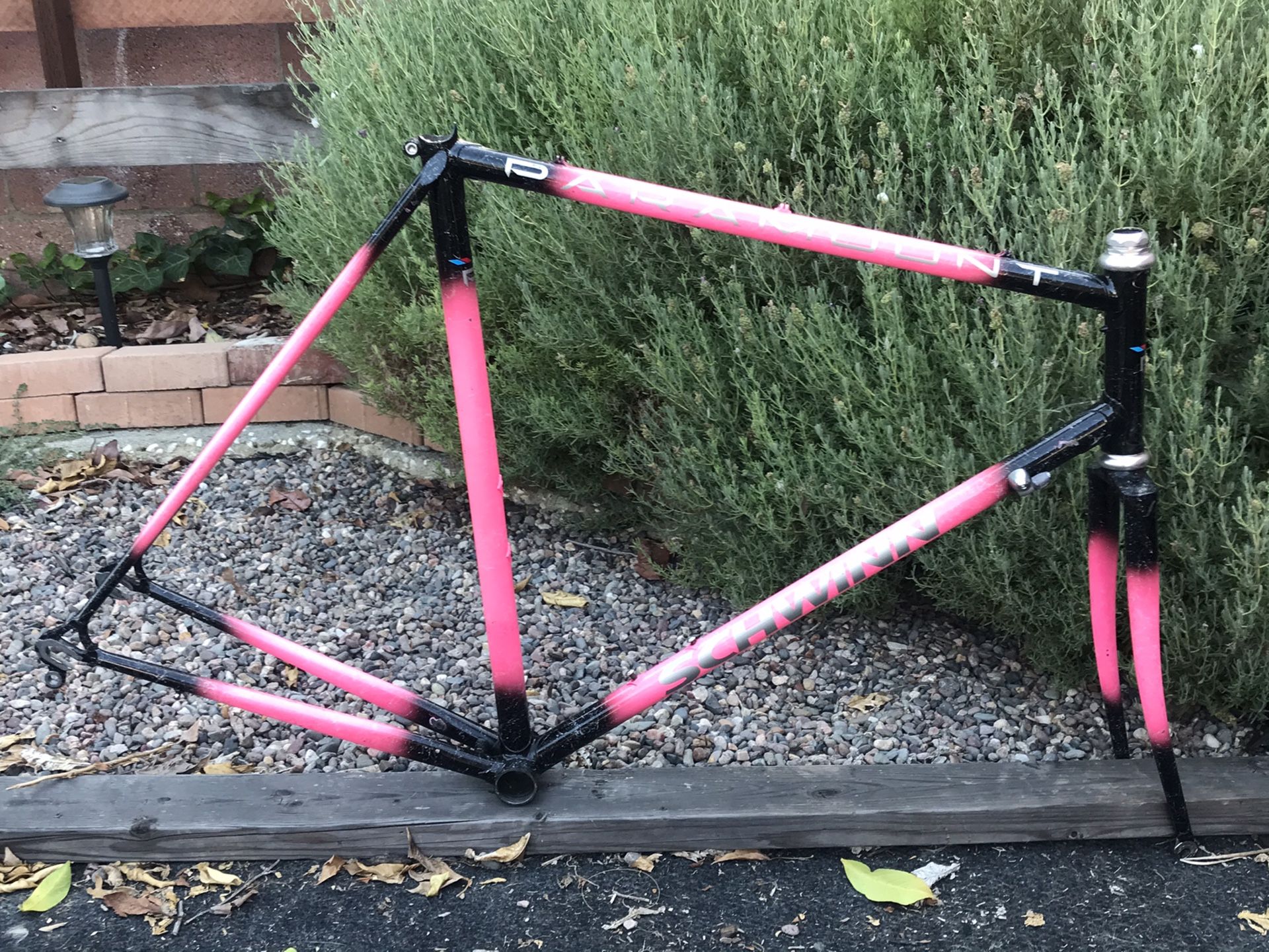 Schwinn Paramount. 58cm Waterford built