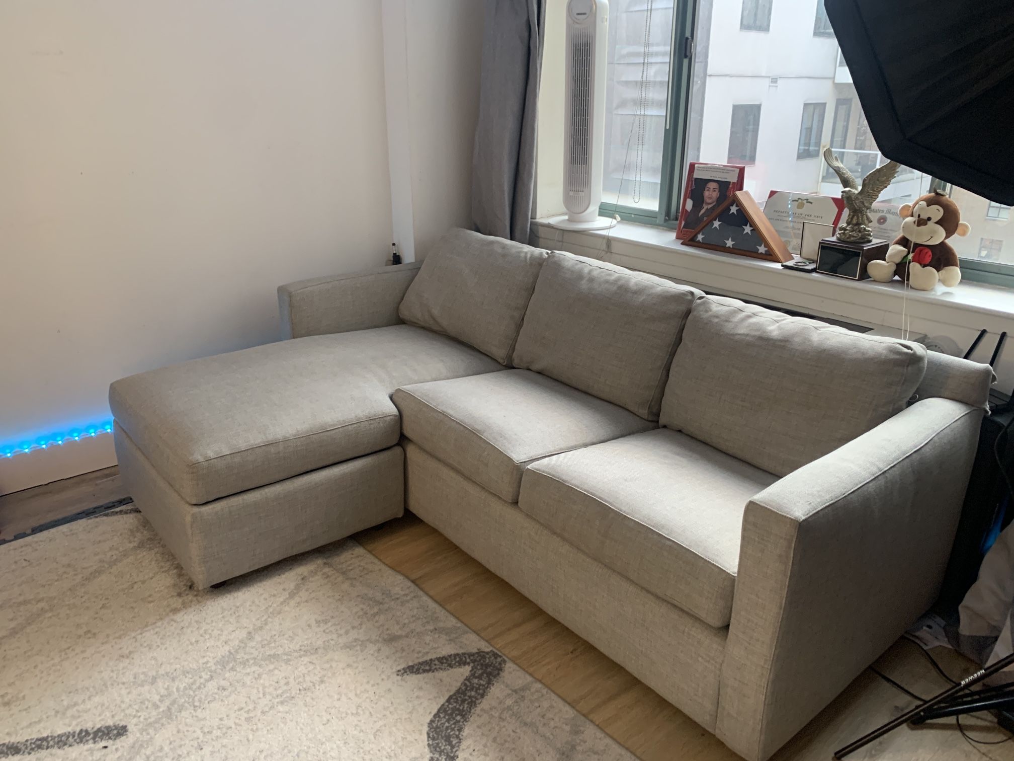 Crate & Barrel Sofa