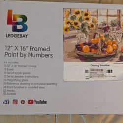 12 X 16 Framed Paint By Number Country Sunshine 