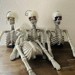 Half Skeletons - Holloween Decorations 