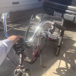 3 Wheel Trycicle