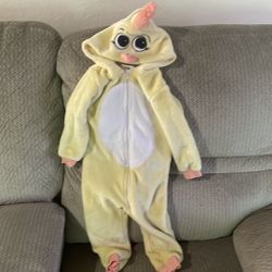 18 -24 Months Chicken Onesie