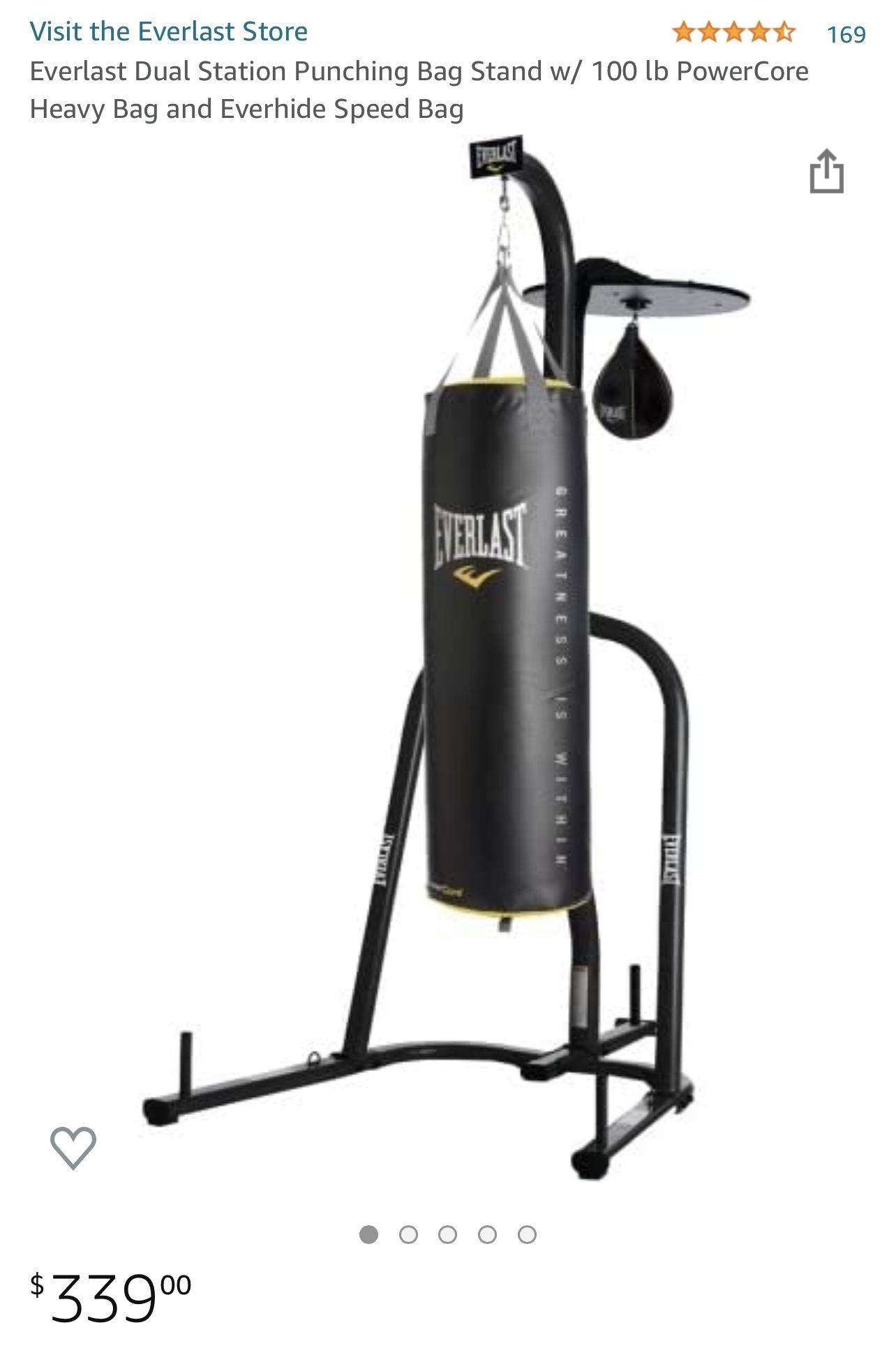 Everest Punching Bag With Gloves (Very Good Condition)