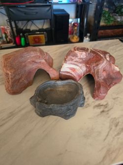Reptile Hide and bowl