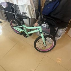 Guardian 16 inch excellent condition