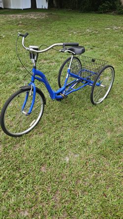 blue adult tricycle