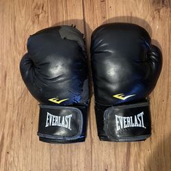 Everlast Training Boxing Gloves