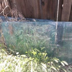 1965 Chevy Impala Windsheild