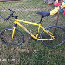 F500 Cannondale Vintage