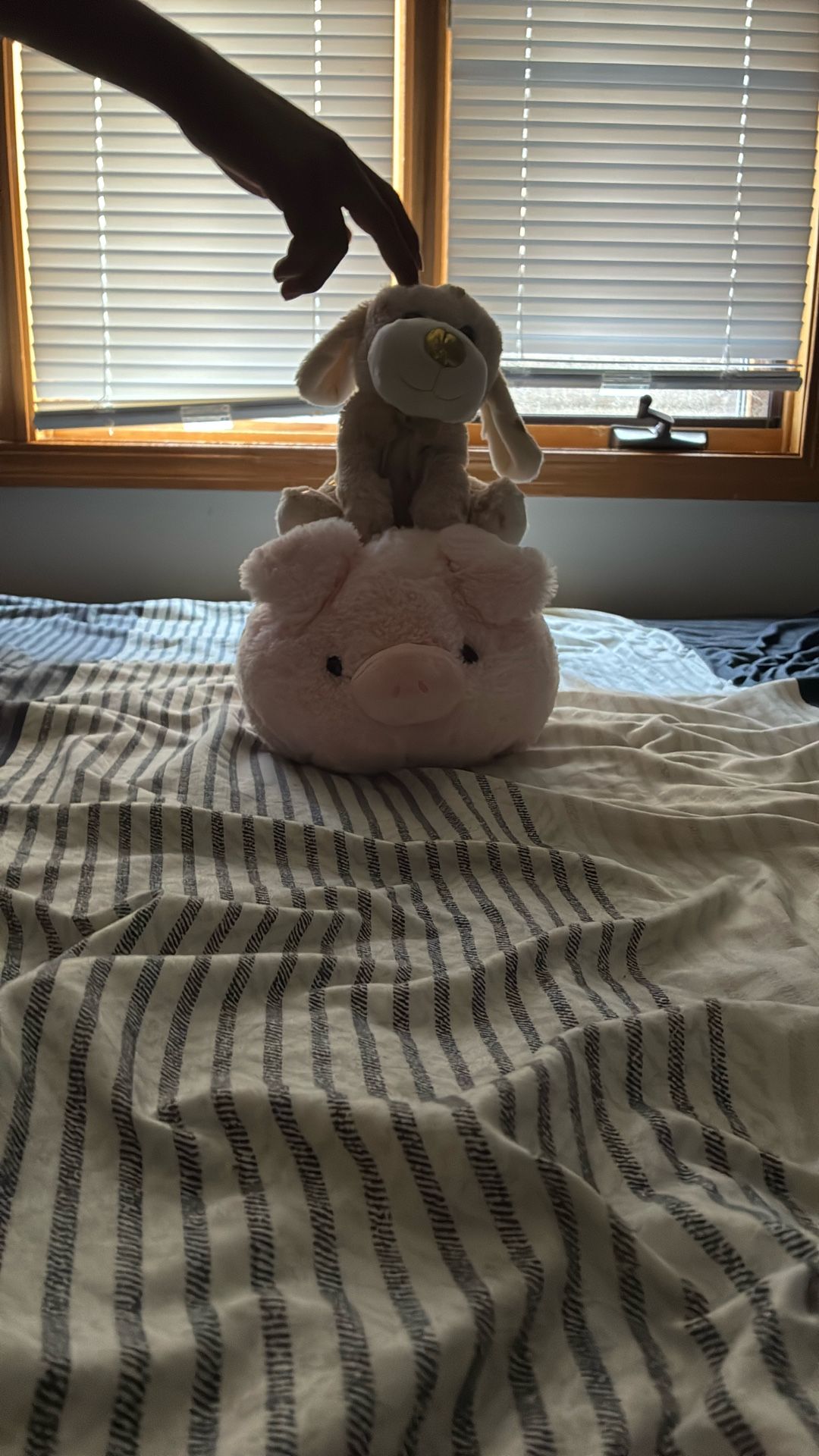 Pig And Dog Stuff Animal