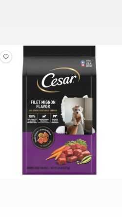 Puppy food