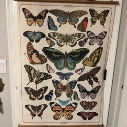 Butterfly tapestry