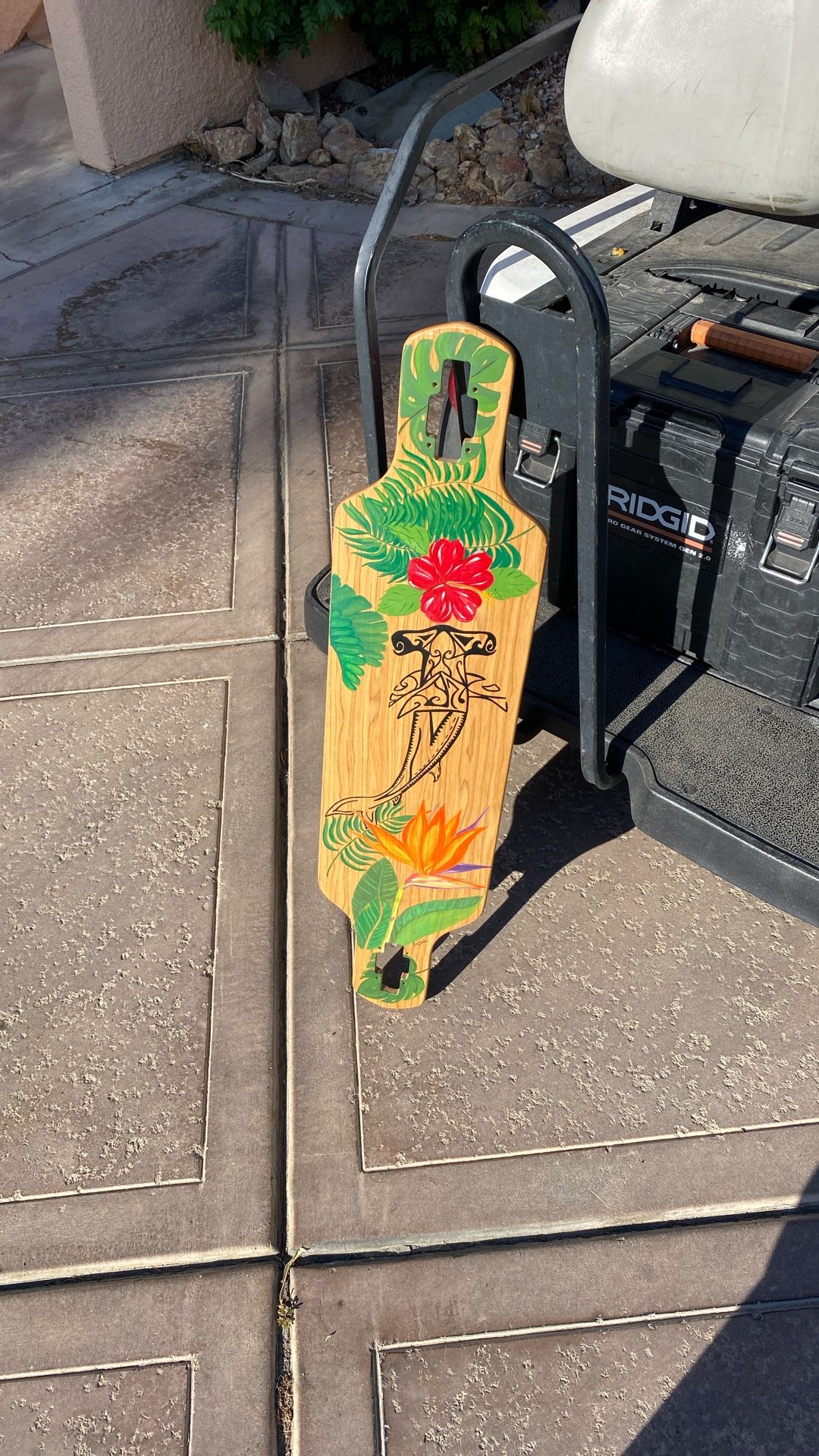 Custom Art Long Board