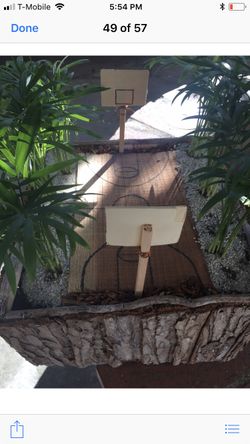 Garden inside a garden