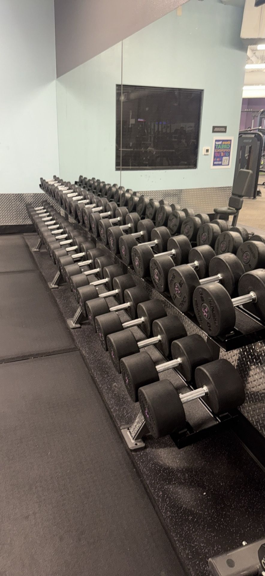 5-100lb Dumbbell Set With Rack