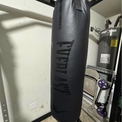 70lb Everlast Punching Bag