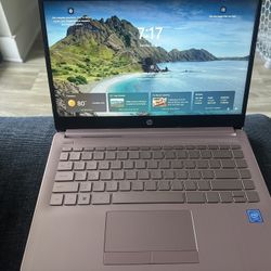 HP Stream 14 inch Windows Laptop Intel Processor N4120 4GB RAM 64GB eMMC Pink 